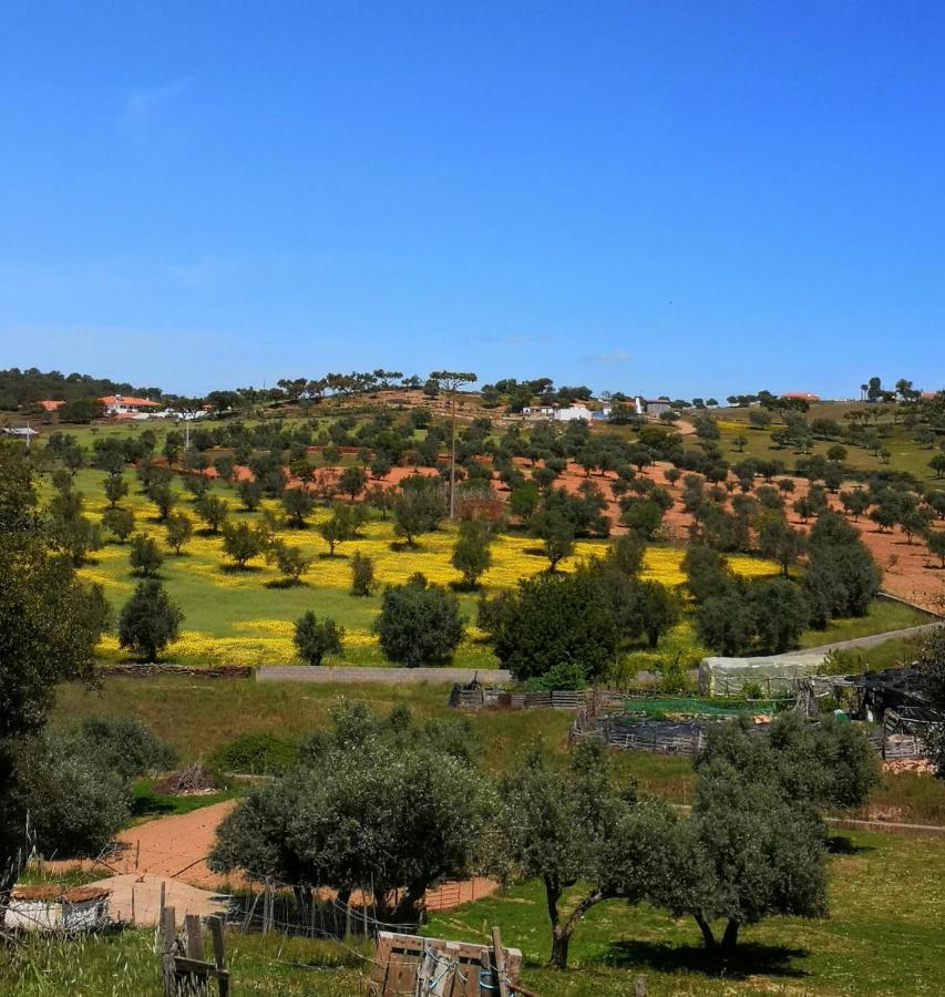 Refugio Do Bem Estar Otel Cercal do Alentejo Dış mekan fotoğraf