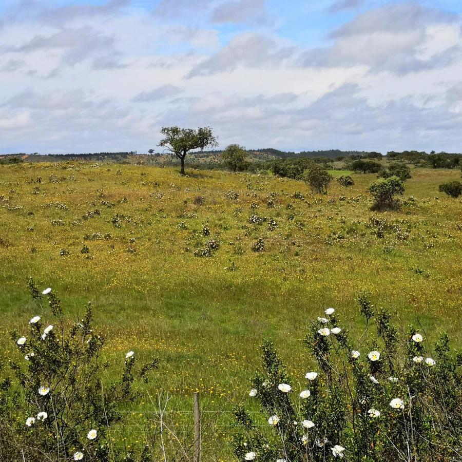 Refugio Do Bem Estar Otel Cercal do Alentejo Dış mekan fotoğraf